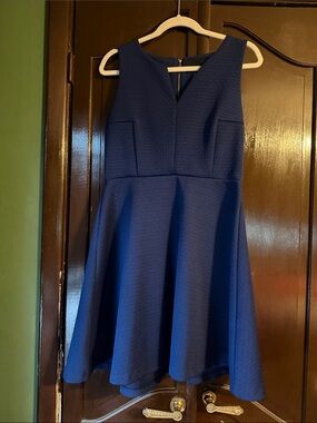 Sleeveless Fit-and-Flare Dress in Navy Blue